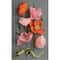 Lia Griffith Poppies Crepe Paper Flower Kit